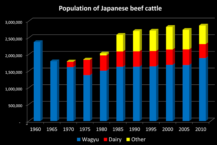 Chart of population of beef breeds in Japan including traditional Wagyu, dairy and crosses from 1960 to current